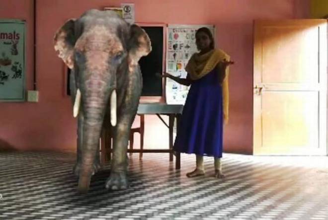 éléphant en réalité augmentée