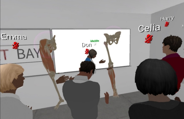 Les enseignants utilisent la VR pour enseigner l'anatomie